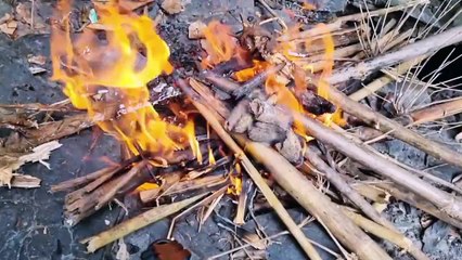 The challenge of going to the stream to grill meat and the ending