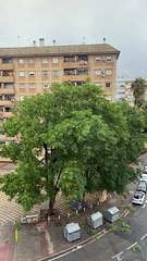 Storm Sends Tree Toppling Onto Car