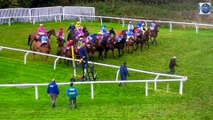 ‘Appalling’ Moment Member of Ground Staff is Run Over by Horses at Start of Shambolic Carlisle Race