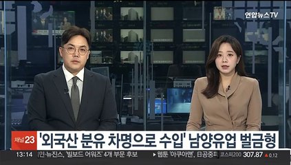 '외국산 분유 차명으로 수입' 남양유업 벌금형