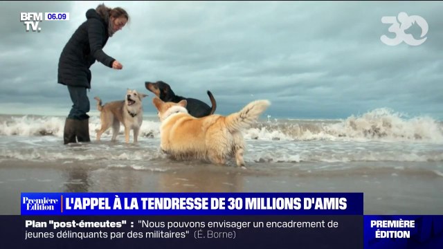 30 Millions d'Amis et la chanteuse Pomme s'associent pour un appel à la tendresse envers les animaux