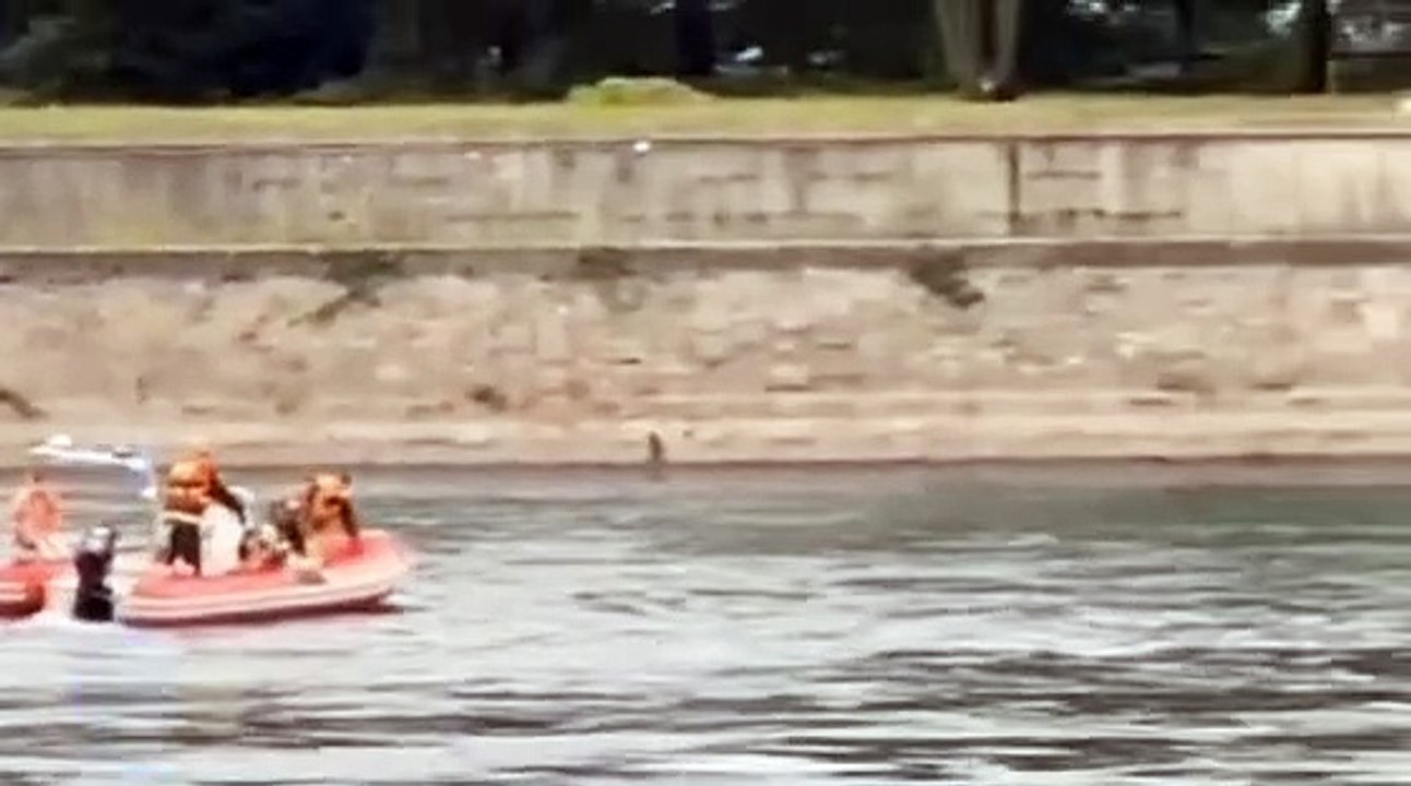 Lecco, il salvataggio dei canoisti