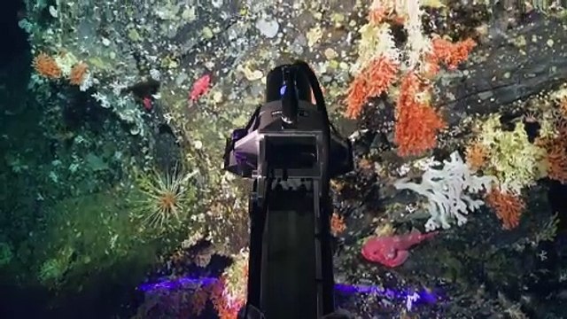 Descubren dos nuevos arrecifes de coral y montes submarinos en Galápagos