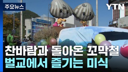 찬바람 부니 돌아온 제철 꼬막...벌교에서 즐기는 미식 여행 / YTN