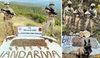 Bitlis kırsalında PKK'ya ait mühimmat ele geçirildi