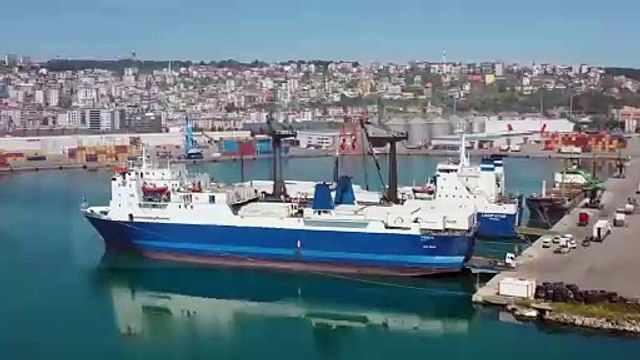 Best Auto Shipping Company In USA _Rapid Auto Shipping