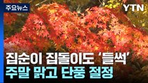 [날씨] 찬 바람에 초미세먼지 해소...주말 맑고 내륙 단풍 절정 / YTN