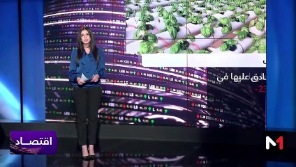 النشرة الاقتصادية - 27/10/2023
