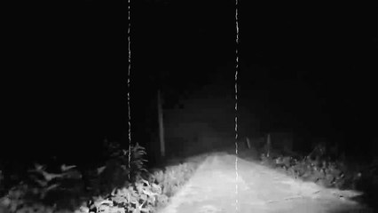 LA CARRETERA DE LOS MUERT0S Y OTRAS HISTORIAS DE HORROR