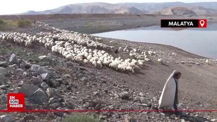 Malatya’da yaylalardan zorlu dönüşler sürüyor