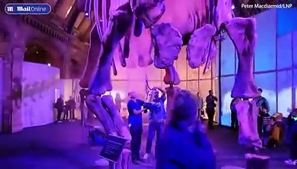 Moment JSO eco-clowns spray orange powder on London dinosaur display