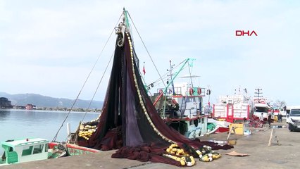 Ordu'da Palamut Avcılığı Azaldı, Fiyatlar Yükseldi