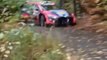 WRC 2023 Central European Day 2 Lappi Huge Crash
