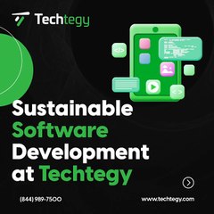 Sustainable Software Development at Techtegy
