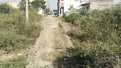 Download Video: Municipal Council forgot by selling the plot, now people are yearning for facilities