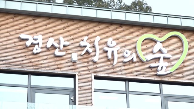 [경북] 경북 경산시, '경산 치유의 숲' 조성...치유 프로그램 운영 / YTN