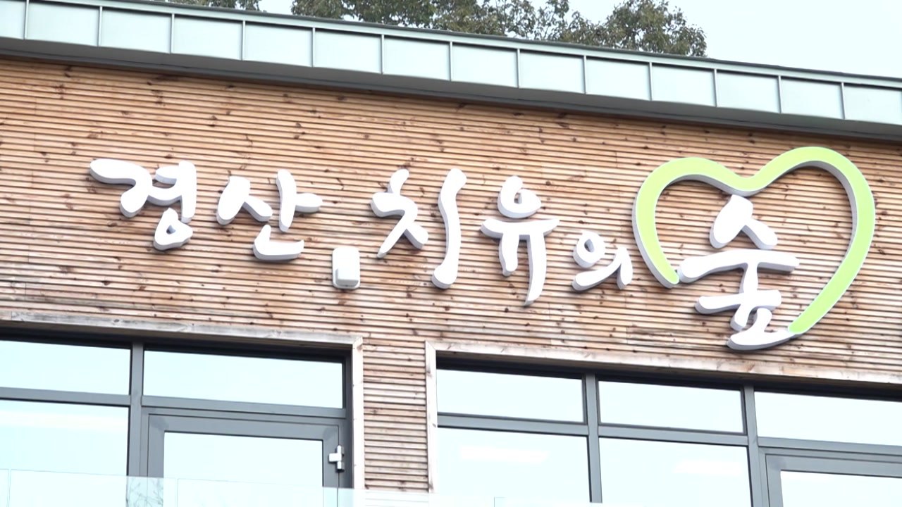 [경북] 경북 경산시, '경산 치유의 숲' 조성...치유 프로그램 운영 / YTN