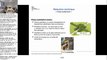 Webinaire espèces protégées du 17 octobre 2023 - DREAL Nouvelle-Aquitaine