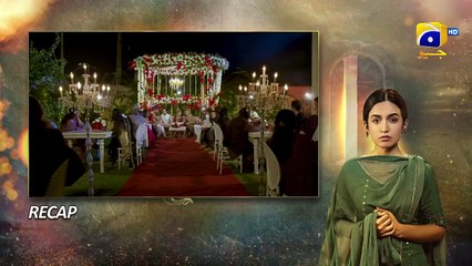 Recap Pyari Nimmo Episode 39 - 20th October 2023 - FLO Digital