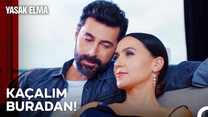 Küllerinden Doğan Bir Aşk Masalı - Yasak Elma 14. Bölüm