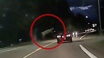 This Deer Has Hops! Dashcam Footage Captures An Unreal Moment