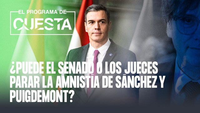 ¿Puede el Senado o los jueces parar la amnistía de Sánchez y Puigdemont?