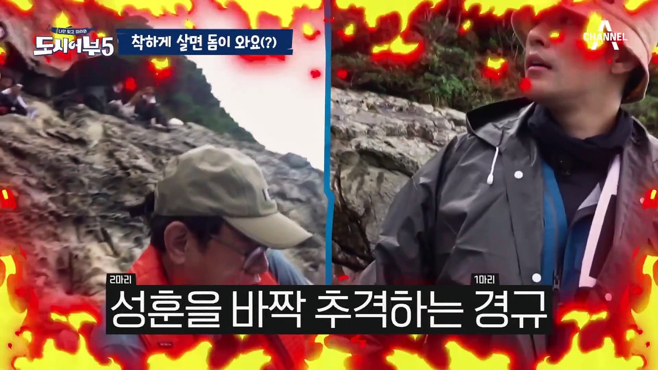 [#도시어부5] 돌돔과 소통하는 자칭 ✿착한 아저씨✿ 이경규가 증명하는 어복 터지는 꿀팁?! #이경규 #돌돔