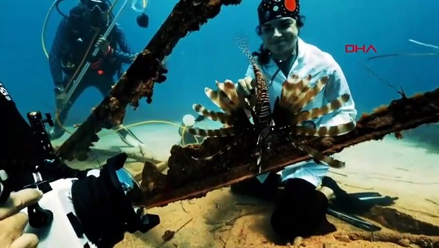 Un plongeur professionnel a pris des photos sous-marines spéciales pour le 100e anniversaire de la République