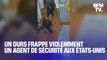 Un ours frappe violemment au visage un agent de sécurité d'un hôtel aux États-Unis