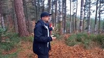 Fernando Bazeta, experto y profesor de la Universidad del País Vasco, explica 'Invasión nuclear' obra desaparecida de Agustín Ibarrola que renace en el nuevo Bosque de Oma