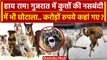 Gujarat के Surat में कुत्तों की नसबंदी में घोटाला | Narendra Modi | Qatar | Viral | वनइंडिया हिंदी