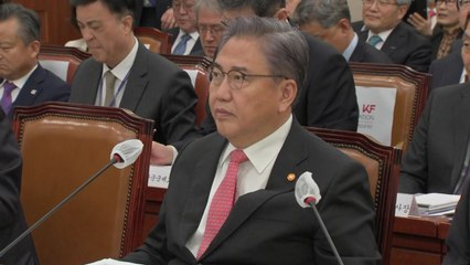 박진 "러시아에 '북한에 미사일 기술 넘기면 좌시 않겠다' 밝혀" / YTN