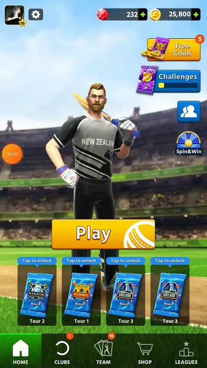 Cricket league