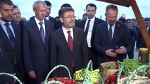 Tarım ve Orman Bakanı İbrahim Yumaklı, Tekirdağ'da çilek topladı