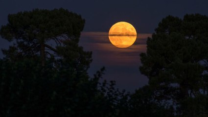 A Bright “Hunter’s Moon” Will Rise This Weekend