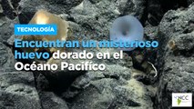 Encuentran un misterioso huevo dorado en el Océano Pacifíco