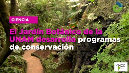 El Jar­dín Bo­tá­ni­co de la UNAM desa­rro­lla pro­gra­mas de con­ser­va­ción