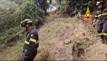 Mesoraca, cavallo finisce in un dirupo di circa 30 metri: salvato dai vigili del fuoco