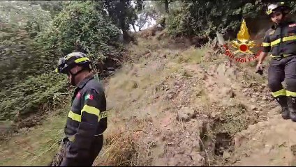 Télécharger la video: Mesoraca, cavallo finisce in un dirupo di circa 30 metri: salvato dai vigili del fuoco