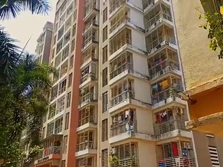 bollywood superhit trending seen