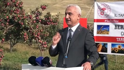 La récolte des pommes affectée par la différence de température entre le jour et la nuit dans la plaine de Muş