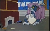 Tom and Jerry Classic Collection Episode 117 - 118 It's Greek to Me-ow! (1961) - High Steaks (1962)