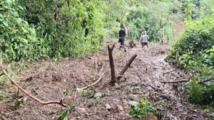 tn7-rescate-cuerpos-puriscal-271023