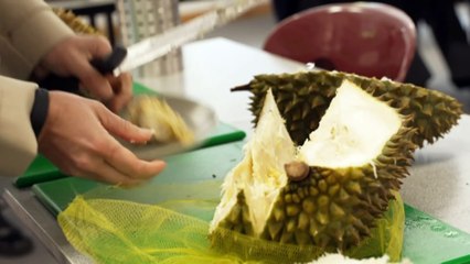 One of Australia’s best agricultural high school programs is in Sydney