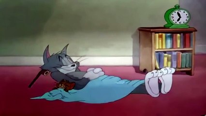 Tom and Jerry Cartoon - Karate Guard