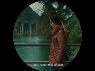 I Am Not Madame Bovary