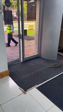 Body Slamming Squirrel Struggles With Doors