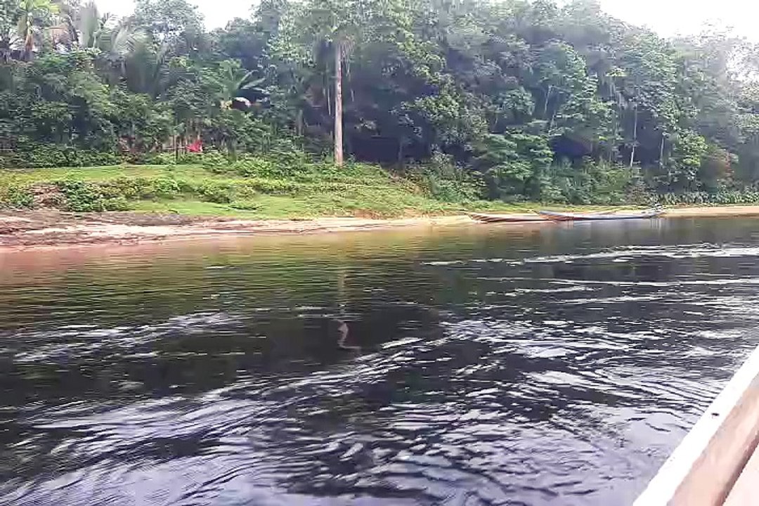 Perempuan Adat, Piau, dan Sungai Subayang
