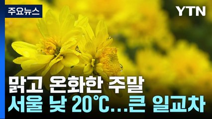 [날씨] 맑고 온화한 주말...함평 국향대전 '한창' / YTN
