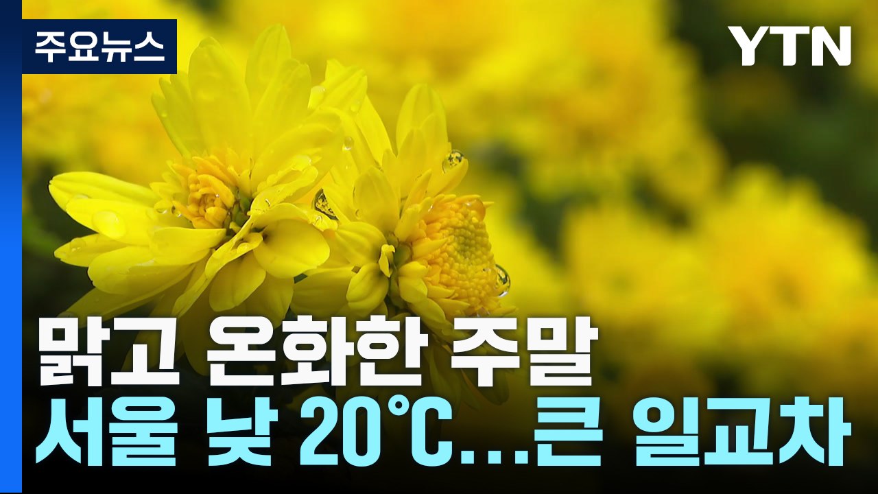 [날씨] 맑고 온화한 주말...함평 국향대전 '한창' / YTN